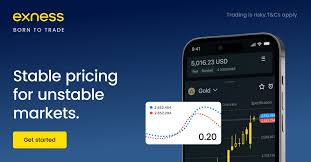 The Comprehensive Guide to Global Exness Broker 7