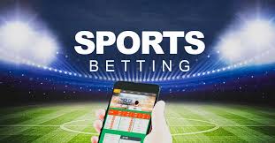 Casino en Vivo en Novibet La Experiencia de Juego Más Realista 1021001315