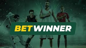 BetWinner Gambling Platform Your Gateway to Online Betting