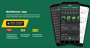 Betwinner Your Ultimate Guide to Online Betting 1931934769